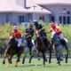 CBS4 Profiles Polo Classic