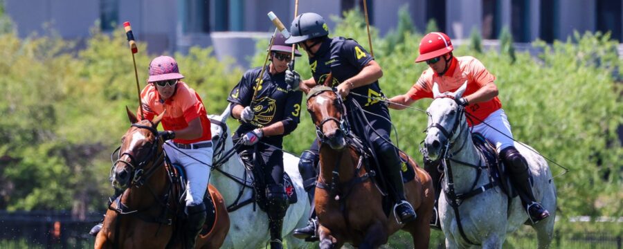 CBS4 Profiles Polo Classic