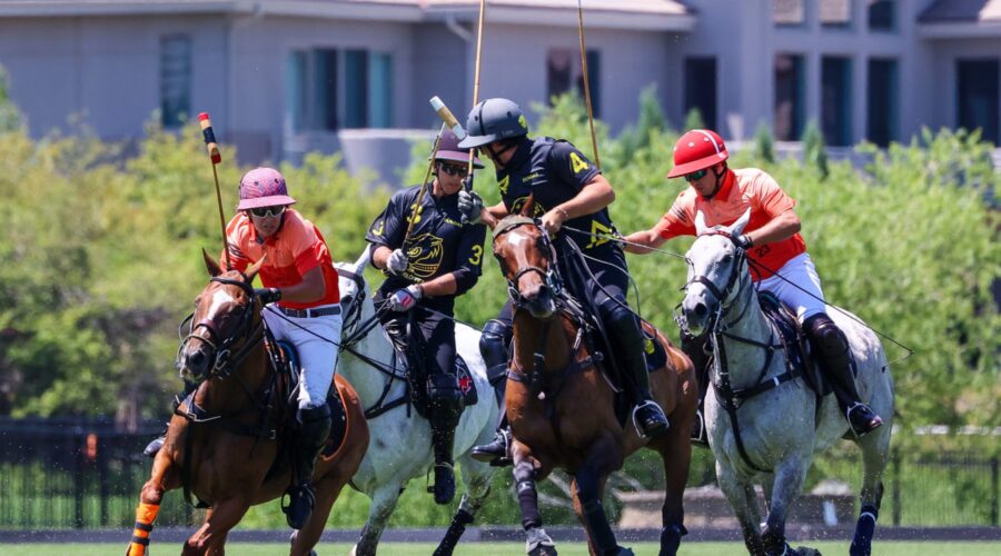 CBS4 Profiles Polo Classic